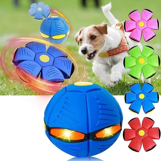 Interactive Flying Saucer/Ball Dog Toy